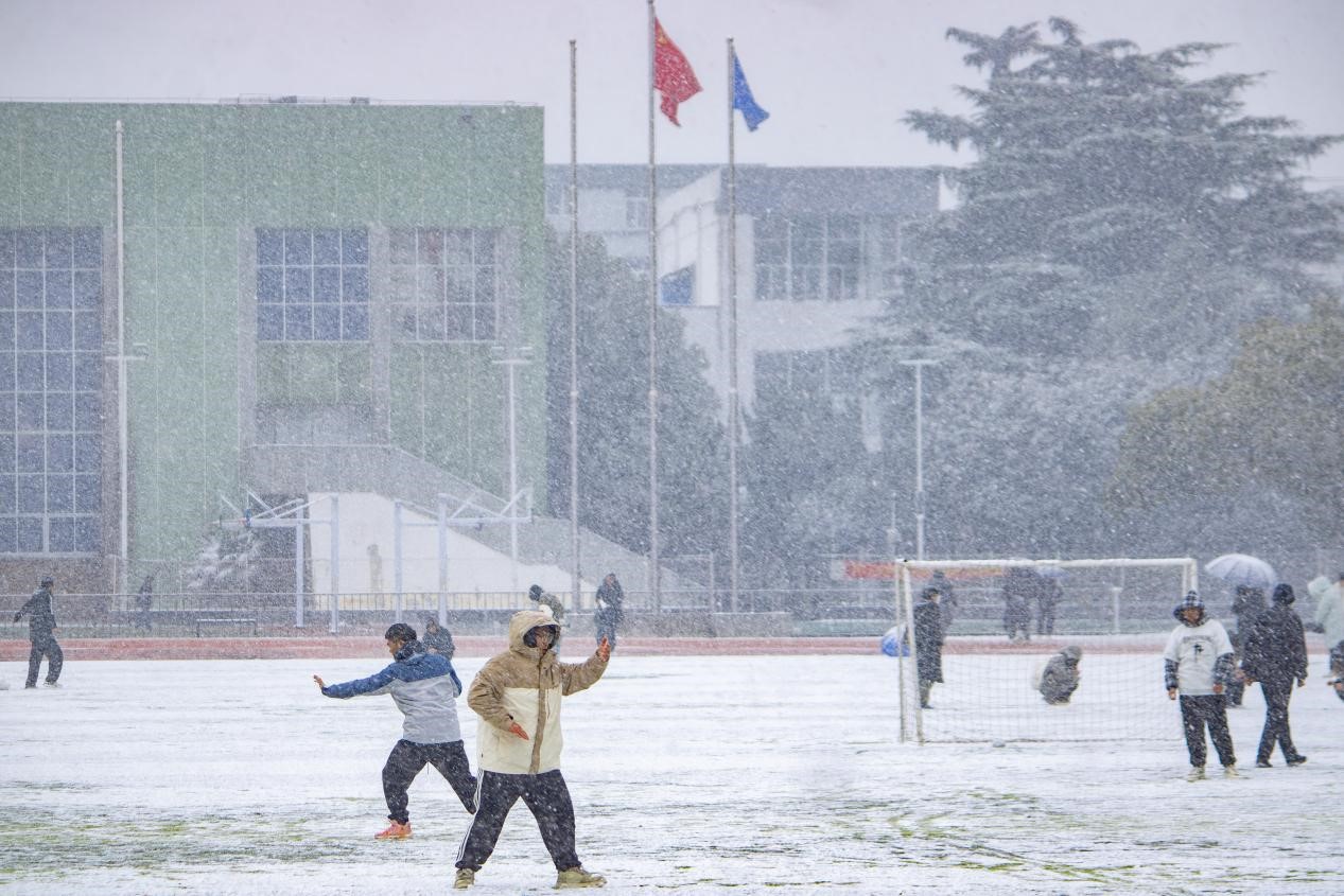 1703045388667594.jpg 图片2.jpg