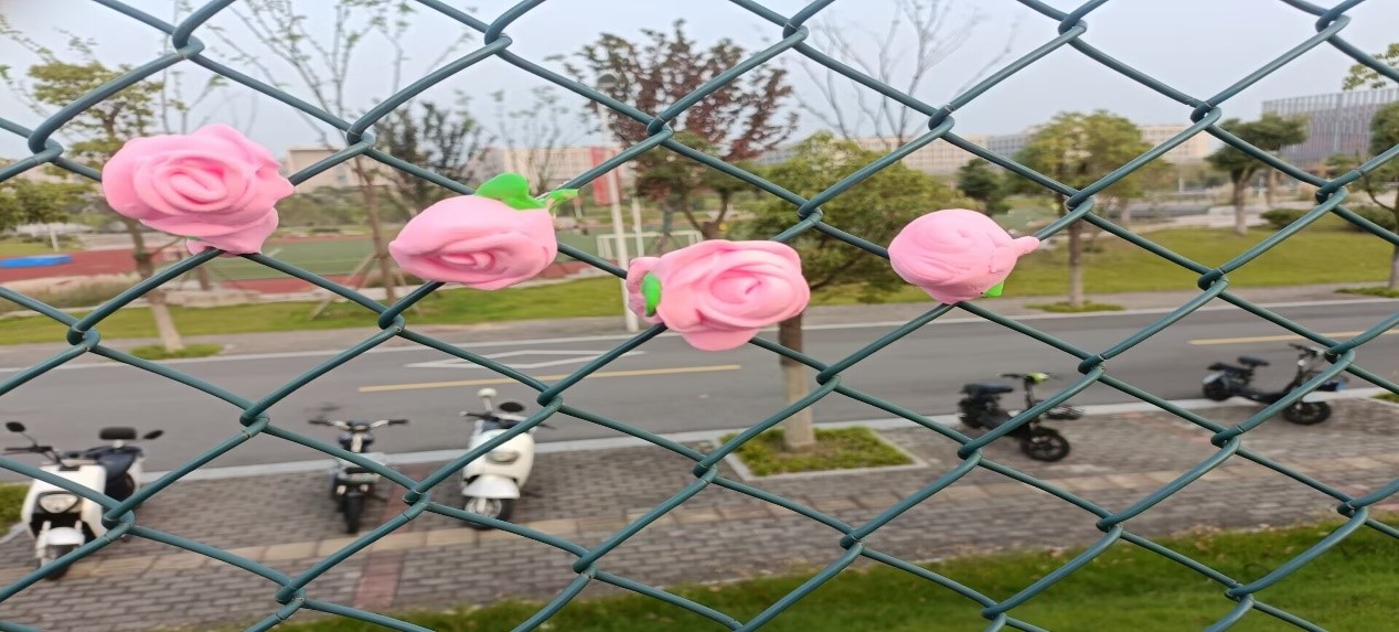 1697469154172286.jpg 图三.jpg