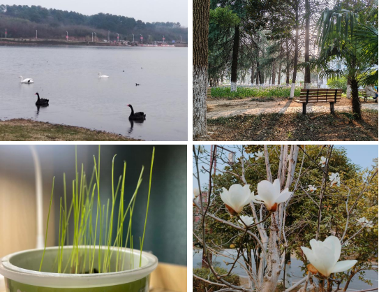 1710828209188600.jpg 1710828003433.jpg