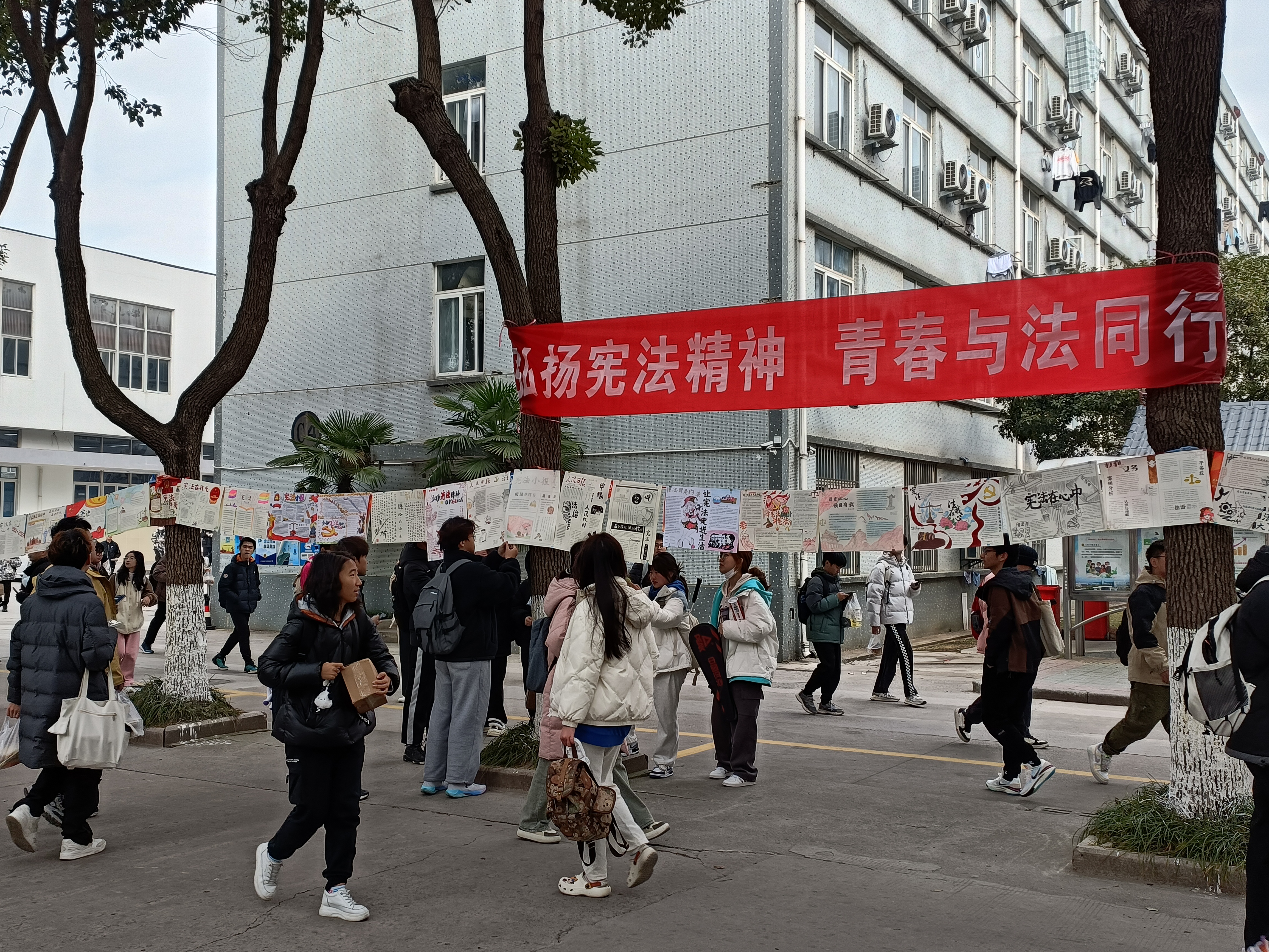 1701826805433618.jpg image001.jpg