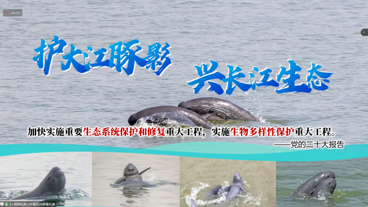 图片 9.png