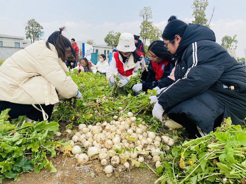 1700450836741150.jpg 2-2.jpg